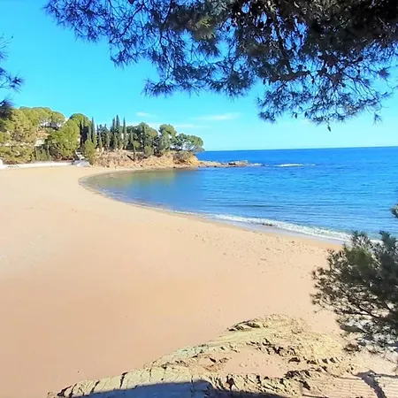 Atico En Grifeu, Llanca: Terraza, Playa A 100m, 1 Habitacion, Admite Mascotas - Es-170-91 Llanca