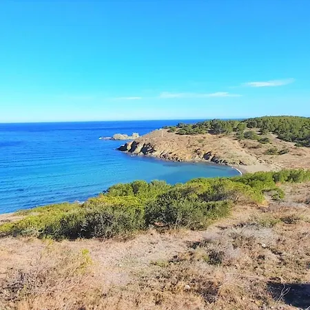 아파트 Atico En Grifeu, Llanca: Terraza, Playa A 100m, 1 Habitacion, Admite Mascotas - Es-170-91 Llança