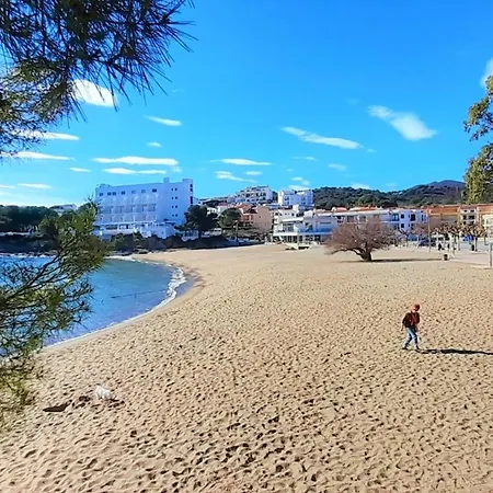 Atico En Grifeu, Llanca: Terraza, Playa A 100m, 1 Habitacion, Admite Mascotas - Es-170-91 *